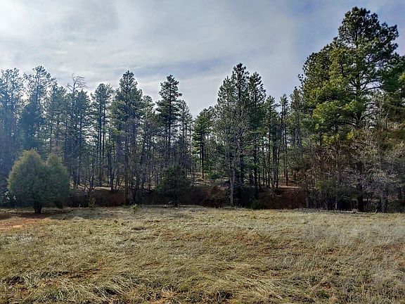 4th image of 1760 S Alder Leaf Ln