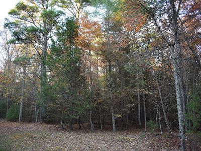 LOT 13 Woodlands Subdivision, Lewisburg, WV, 24901