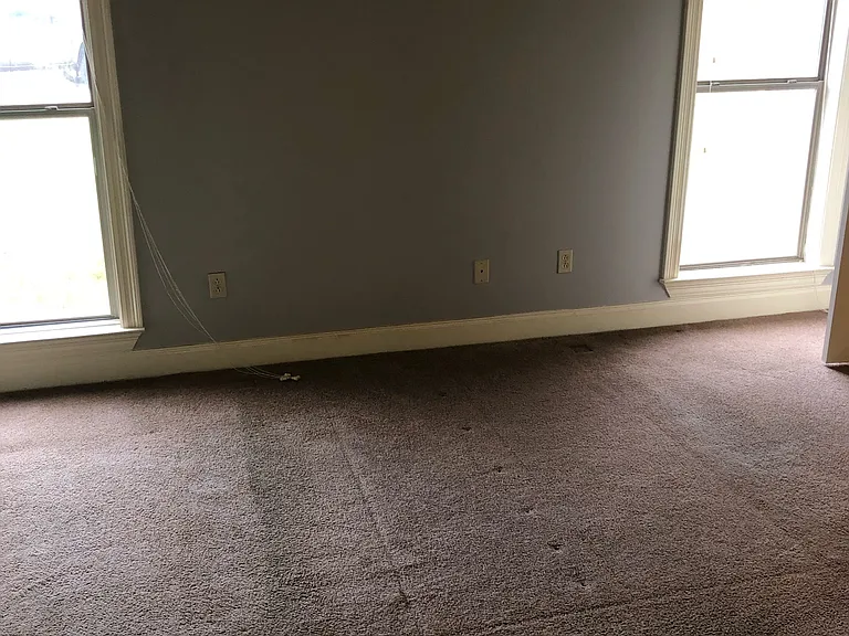38580 Red Bud Ln — Photo 5