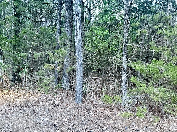 2nd image of Little Coontail Rd