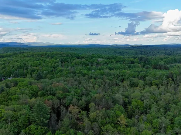 0 Mount Laurel Rd, Greenfield Park, NY 12435