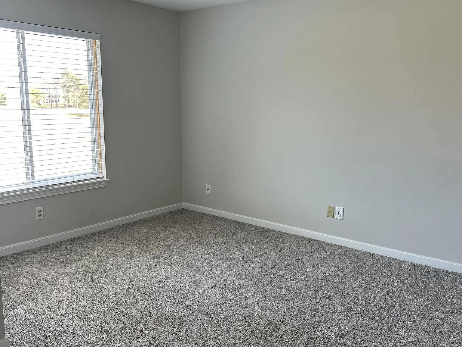 901 Pine Valley Drive - 101 — Photo 3