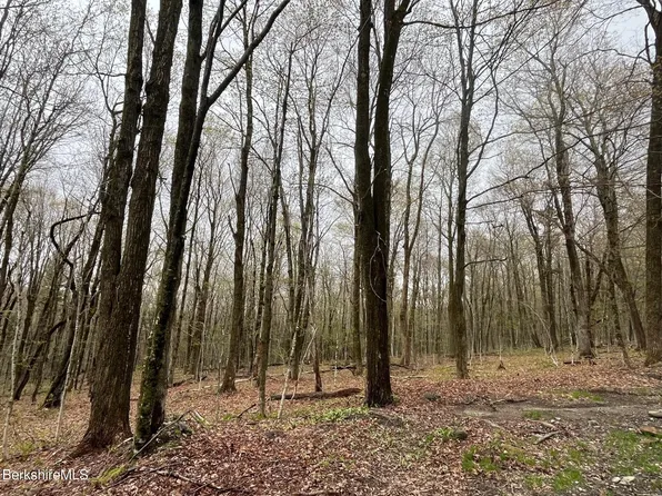 0 Manley Phelps Rd, Monroe Bridge, MA 01350