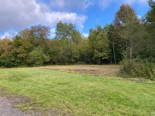 145 Therriault Hill Road #1, Williamstown, VT 05679