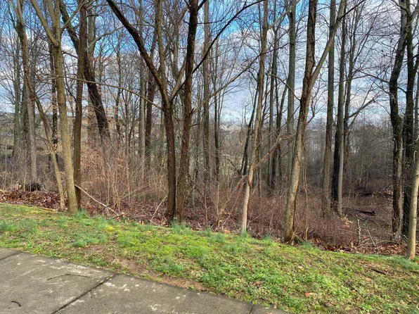 102 Chestnut Ridge Dr, Jonesborough, TN 37659