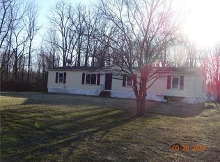 784 Faas Rd, Shortsville, NY 14548