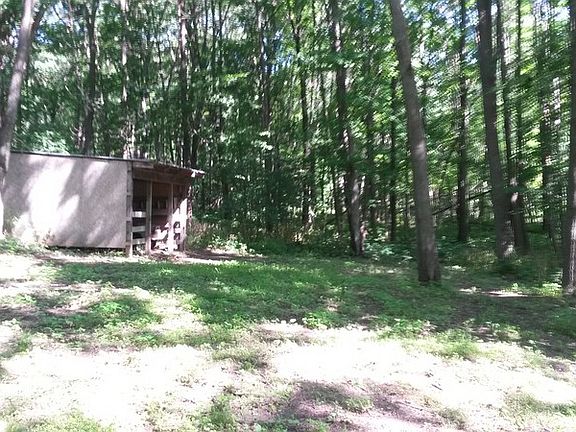 Looking into back woods