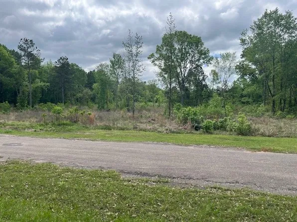 0 Buckskin Dr, Grand Cane, LA 71032