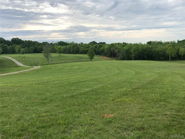 0 County Road 21, Moundville, AL 35474