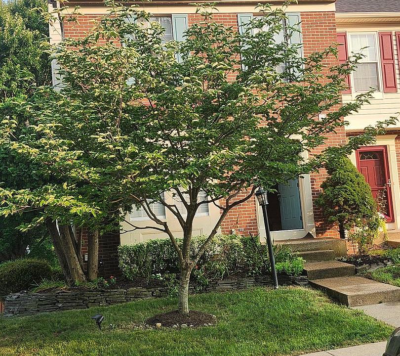 2nd image of 5227 Dunstable Ln