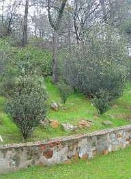 5th image of 100 Diamond Bar Ct