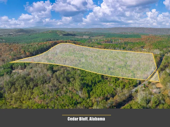 County Road 82, Cedar Bluff, AL 35959