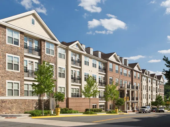 Windsor Leesburg Parent
