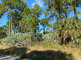 371 Mott St SW, Palm Bay, FL 32908