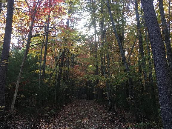 5th image of 3 67 Acres Towee Falls Rd