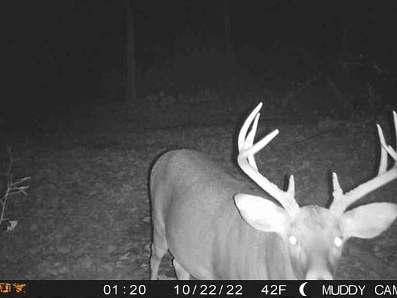5th image of 13187 Cooperrider Rd Lot B