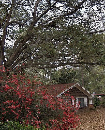 1st image of 416 NE Dusty Miller Ave