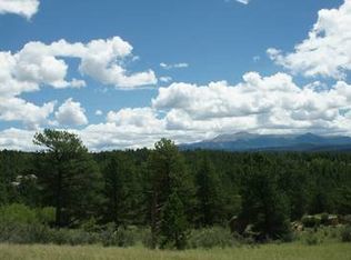Wildhorn Rd, Florissant, CO 80816