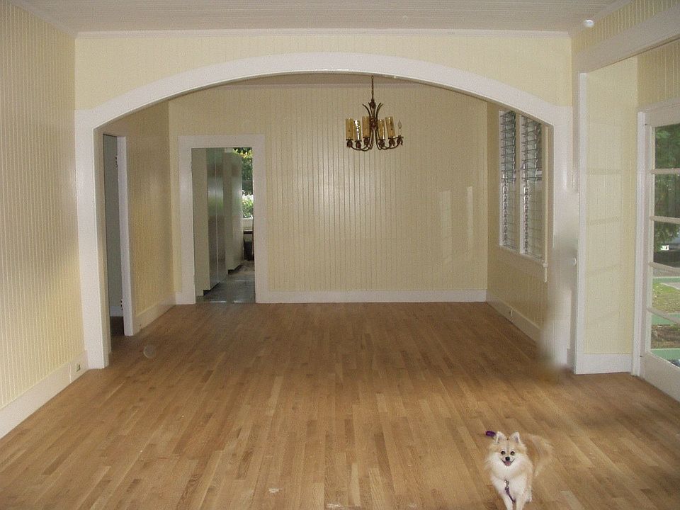 Living room- dog not included