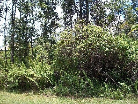 2nd image of Brookover St Lot 22