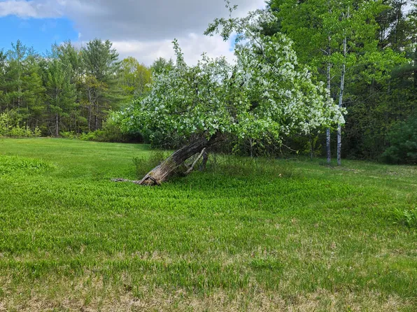 Lot C Bisbee Town/Hunts Corner Road, Waterford, ME 04088