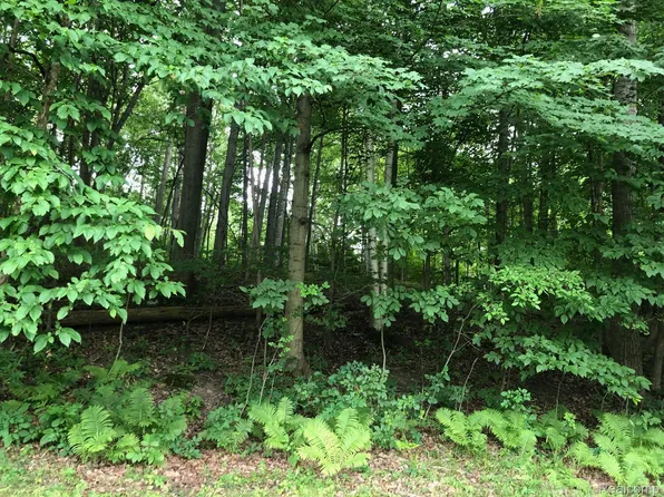 0 E Brocker Rd, Metamora, MI 48455