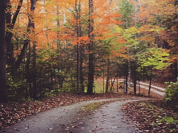 Road to the A-Frame cabins.