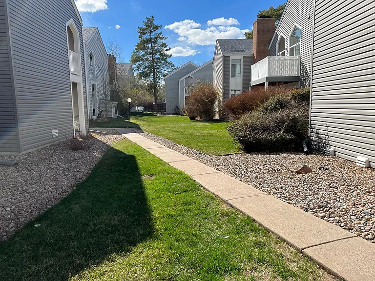 backyard area