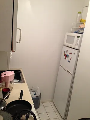 Rented by Eric Goodman Realty Corp | media 17