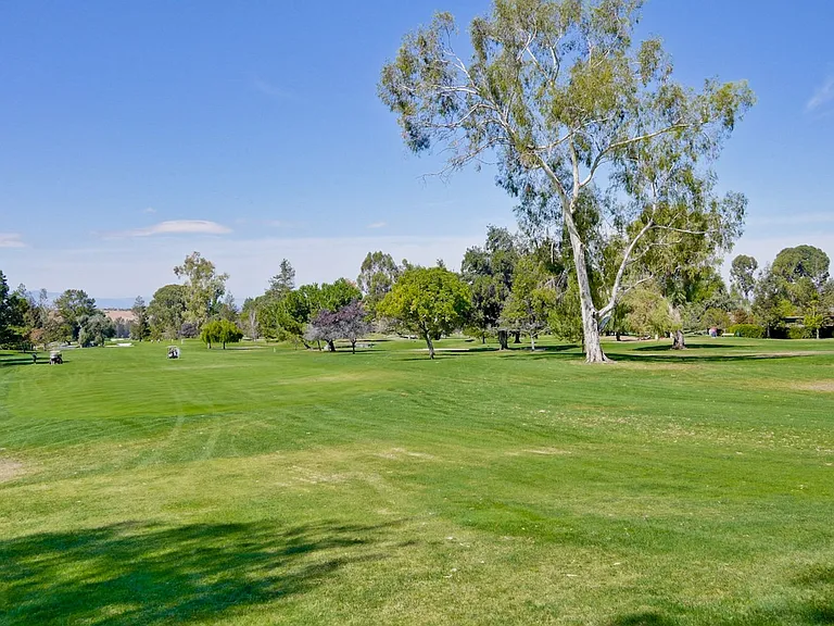 8224 Claret Ct — Photo 75