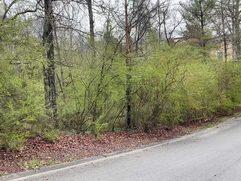 2nd image of 612 Hidden Hollow Dr