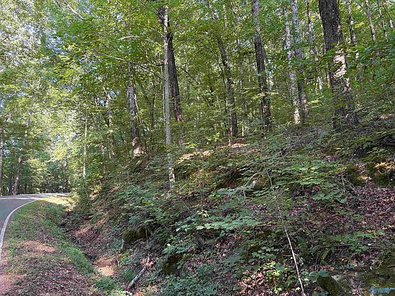 2nd image of Butler Mill Rd