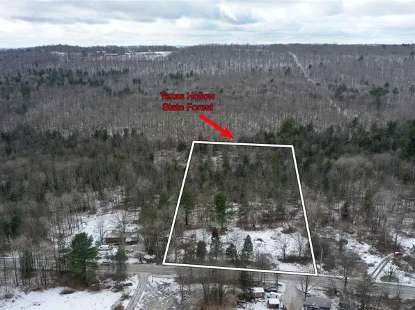 2975 Steam Mill Rd #18, Odessa, NY 14869
