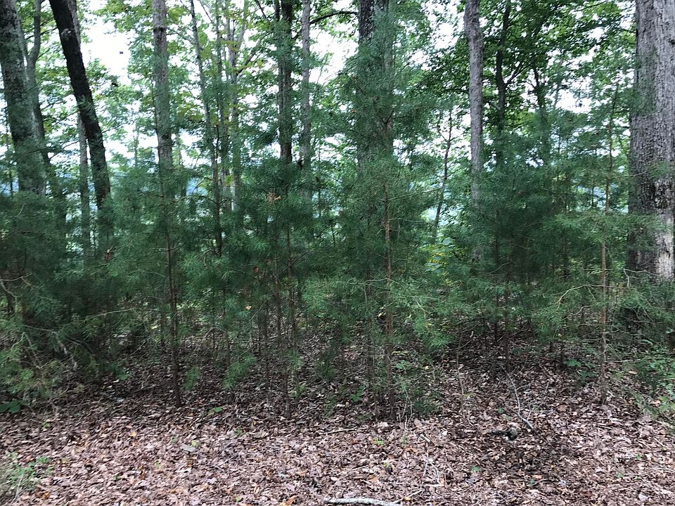 1st image of 80 Stillwater Blvd