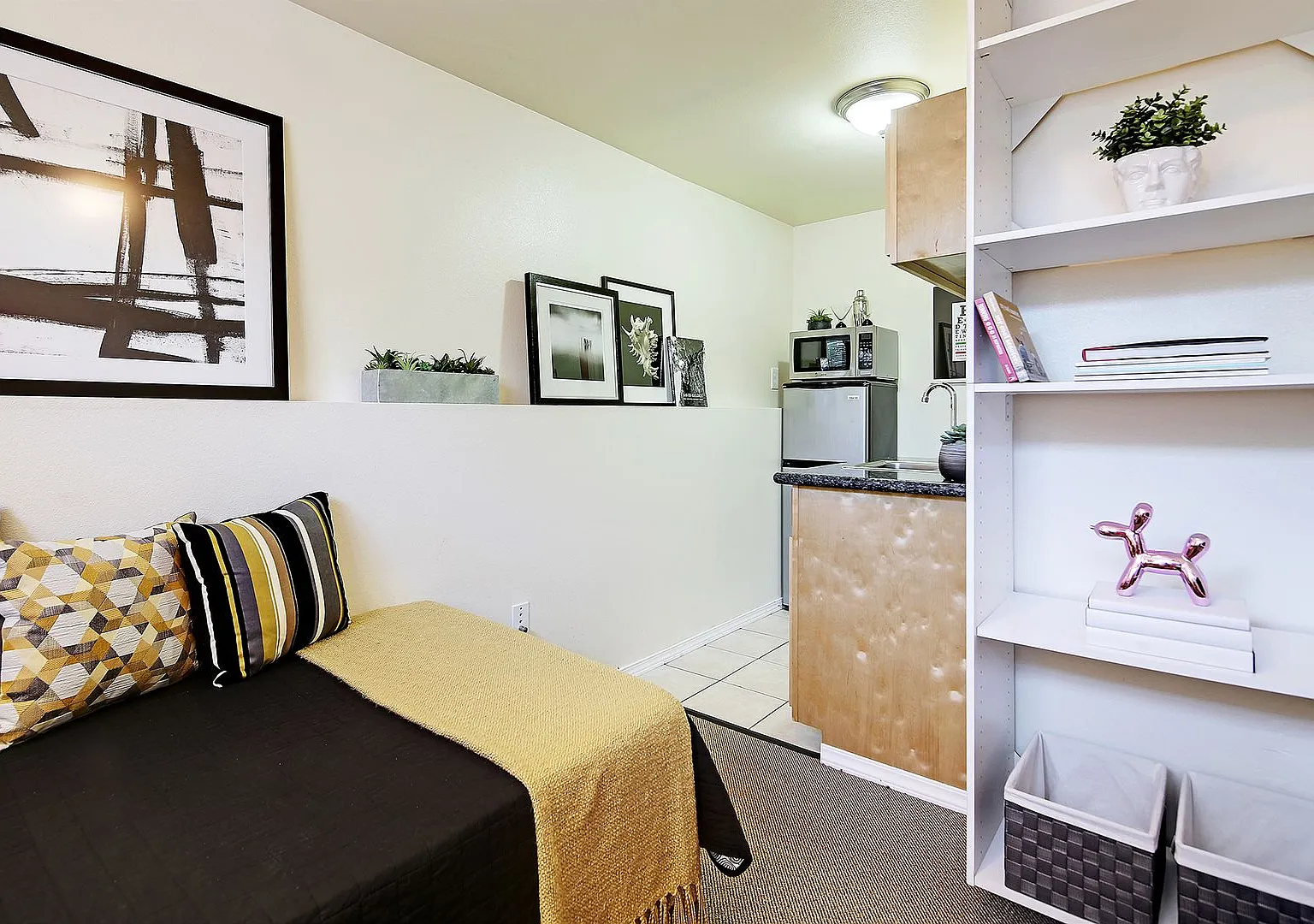 Convenient Apartments on Cap Hill! — Photo 2