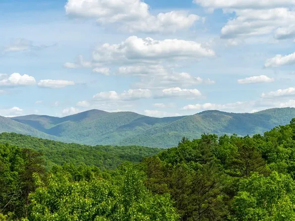 207 Chapman Dr, Cherry Log, GA 30522