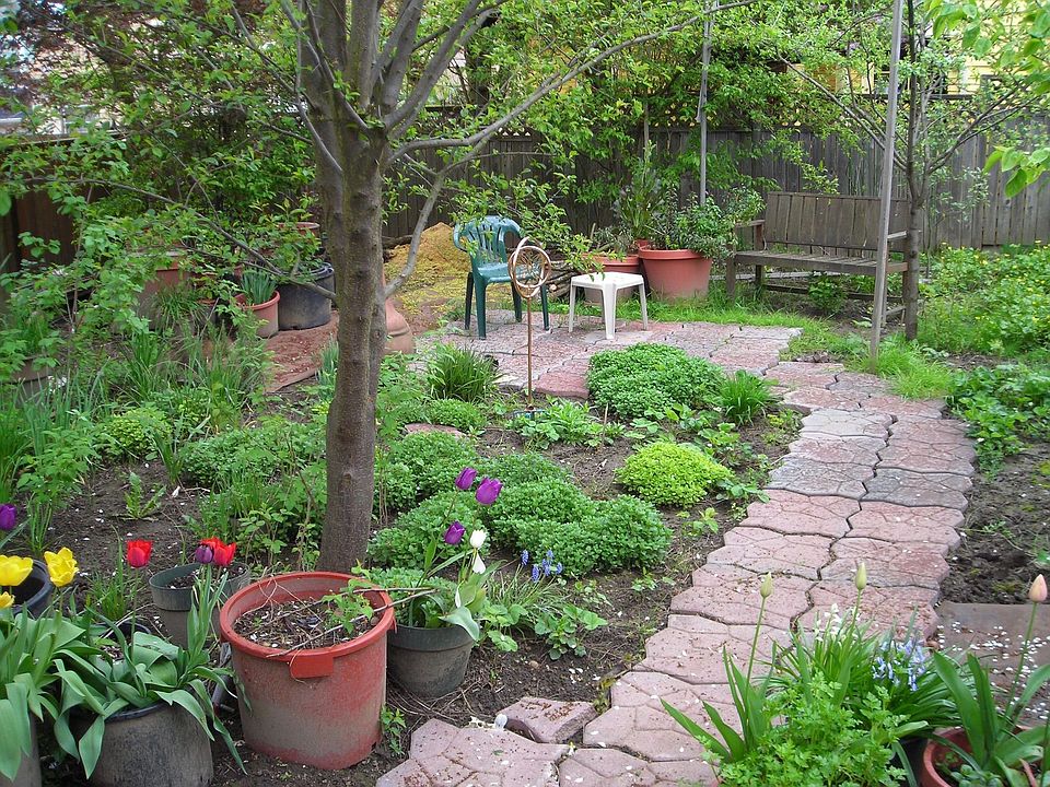 backyard