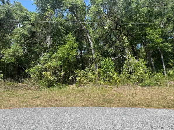 1650 N Paulette Ter, Inverness, FL 34453