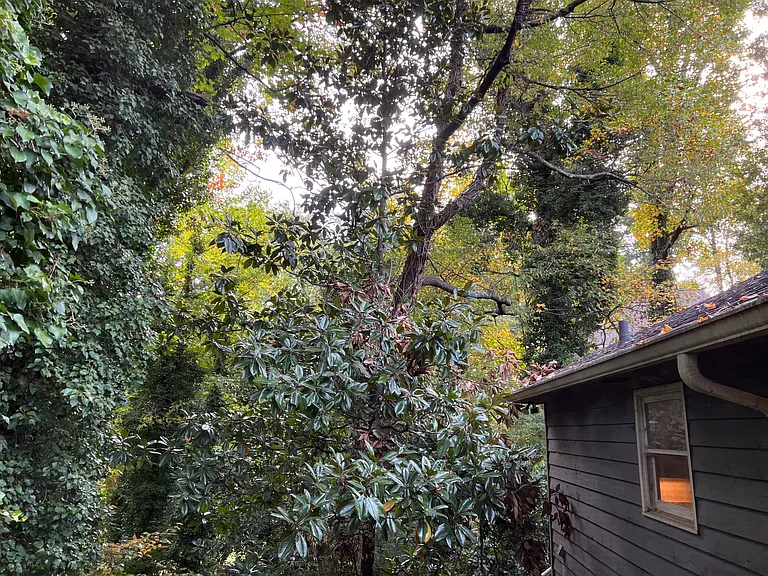 704 Mohawk Dr — Photo 43