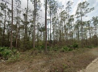 0 Glisson St, Interlachen, FL 32148