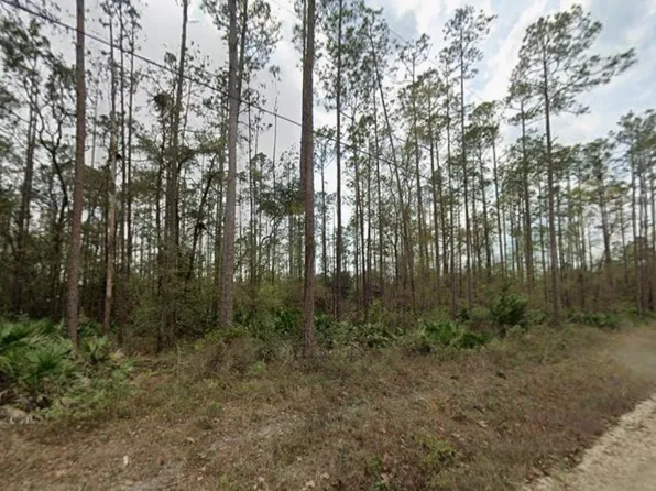 0 Glisson St, Interlachen, FL 32148