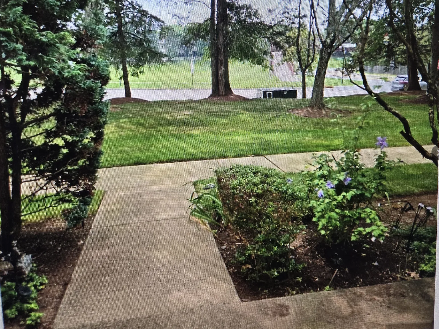 2 bed, 1160 sqft, $3,295 — Photo 2