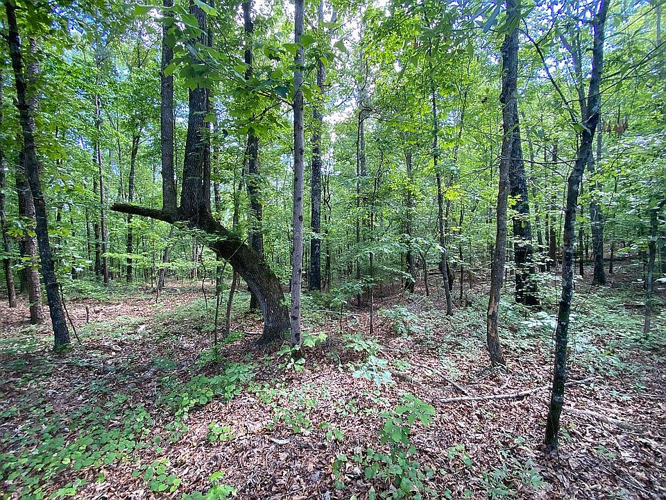 2nd image of Turkey Point Dr