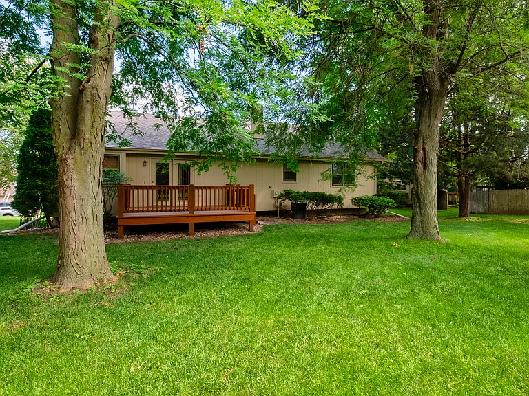 Back yard