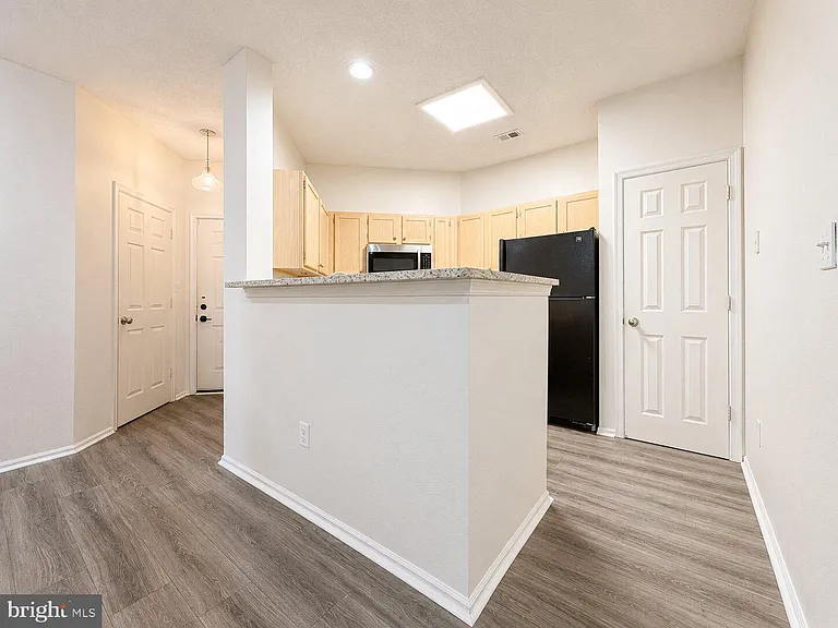 14314 Climbing Rose Way #102 — Photo 11