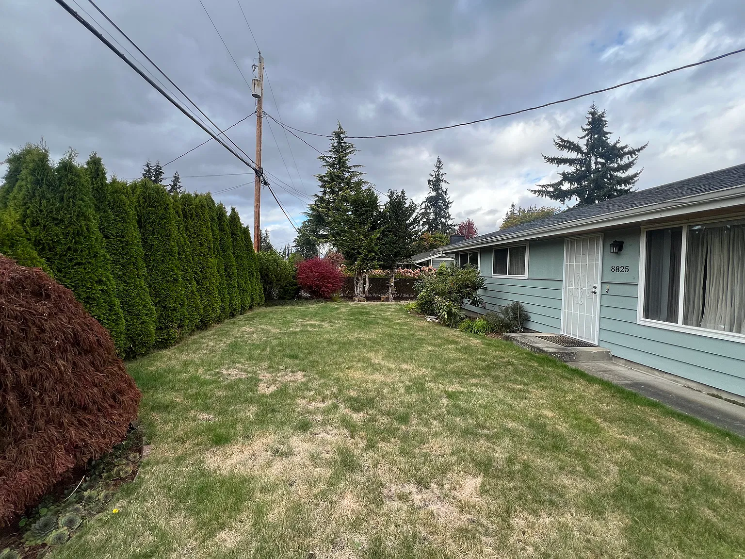 3 bed, 1.5 bath, 1164 sqft, $2,600 — Photo 2