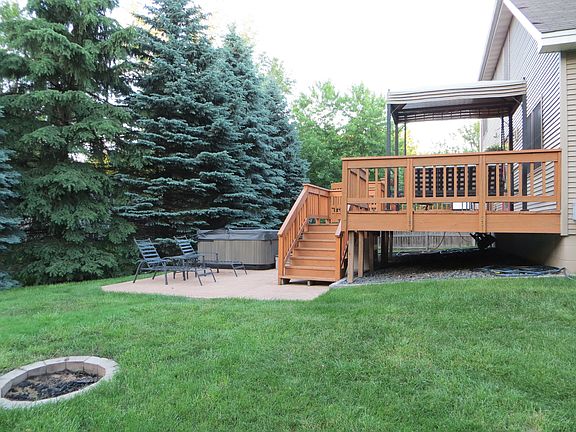 Back yard evergreen trees