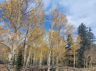 3978 Meier Ridge Trl LOT WP001, Fairplay, CO 80440