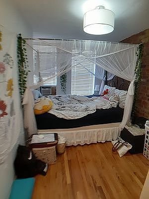 4th image of 286 E 2nd St #4N