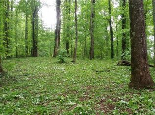 46 Little Brother Lane Lots 1 And #2-A, Swannanoa, NC 28778